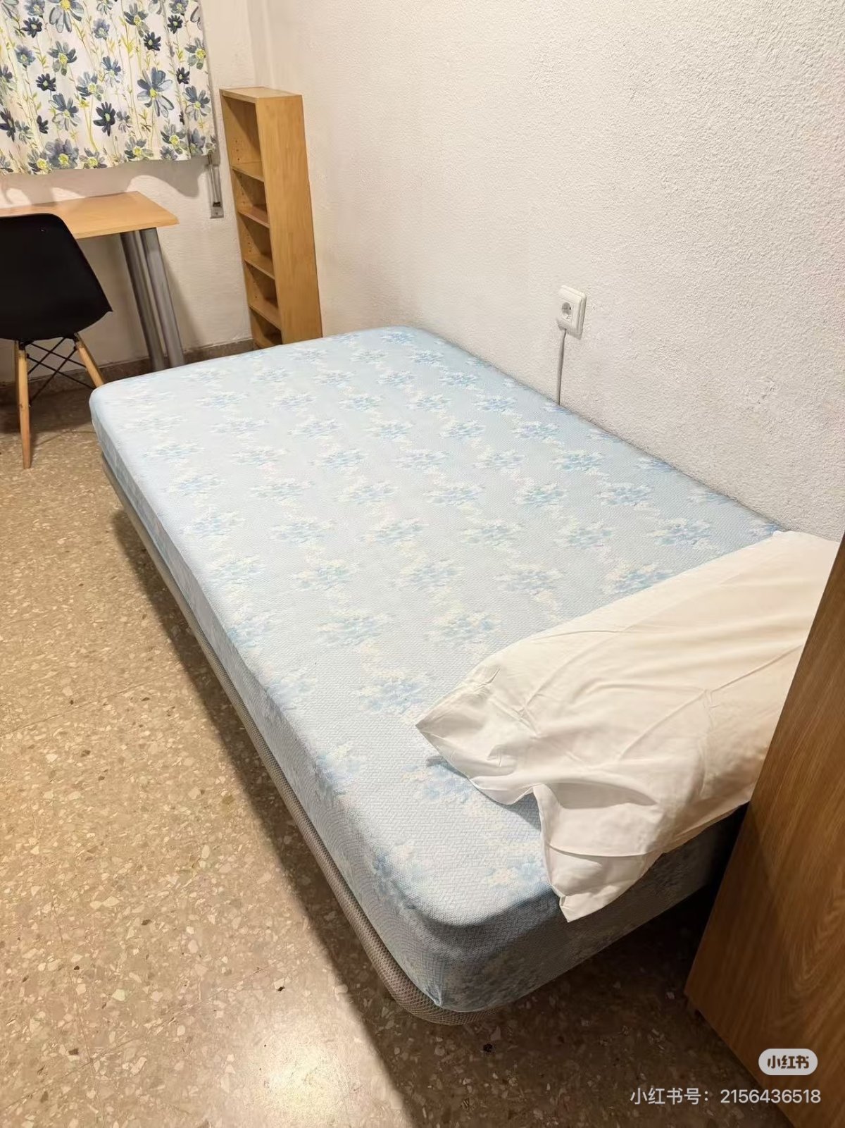 可带宠物♥瓦伦西亚大学城找室友