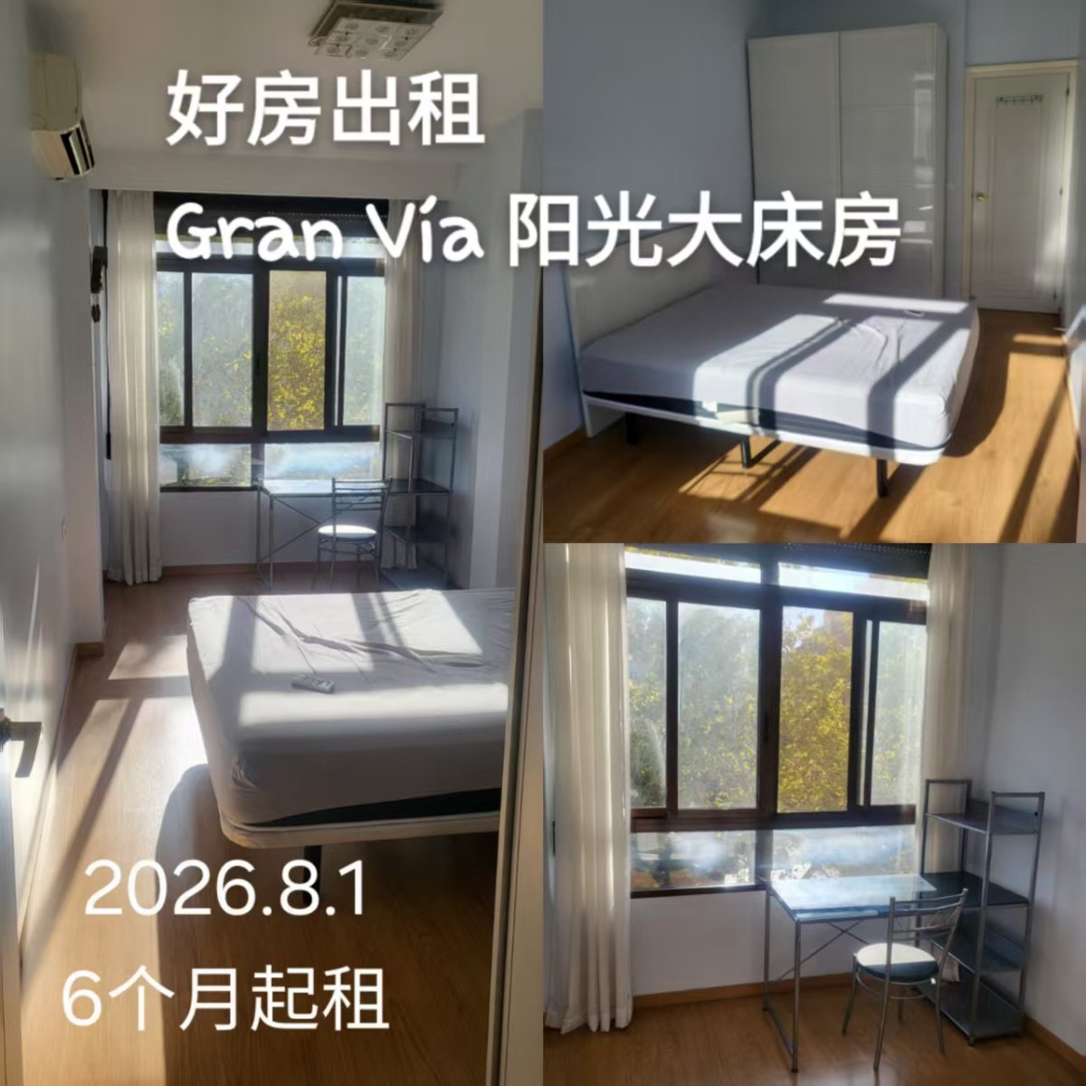 gran via 阳光大床房#有空调#